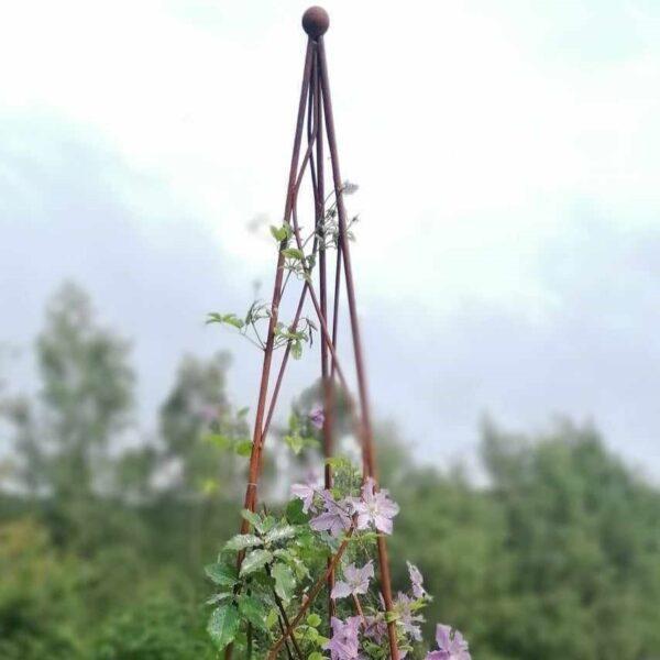 Obelisk ogrodowy Kobea