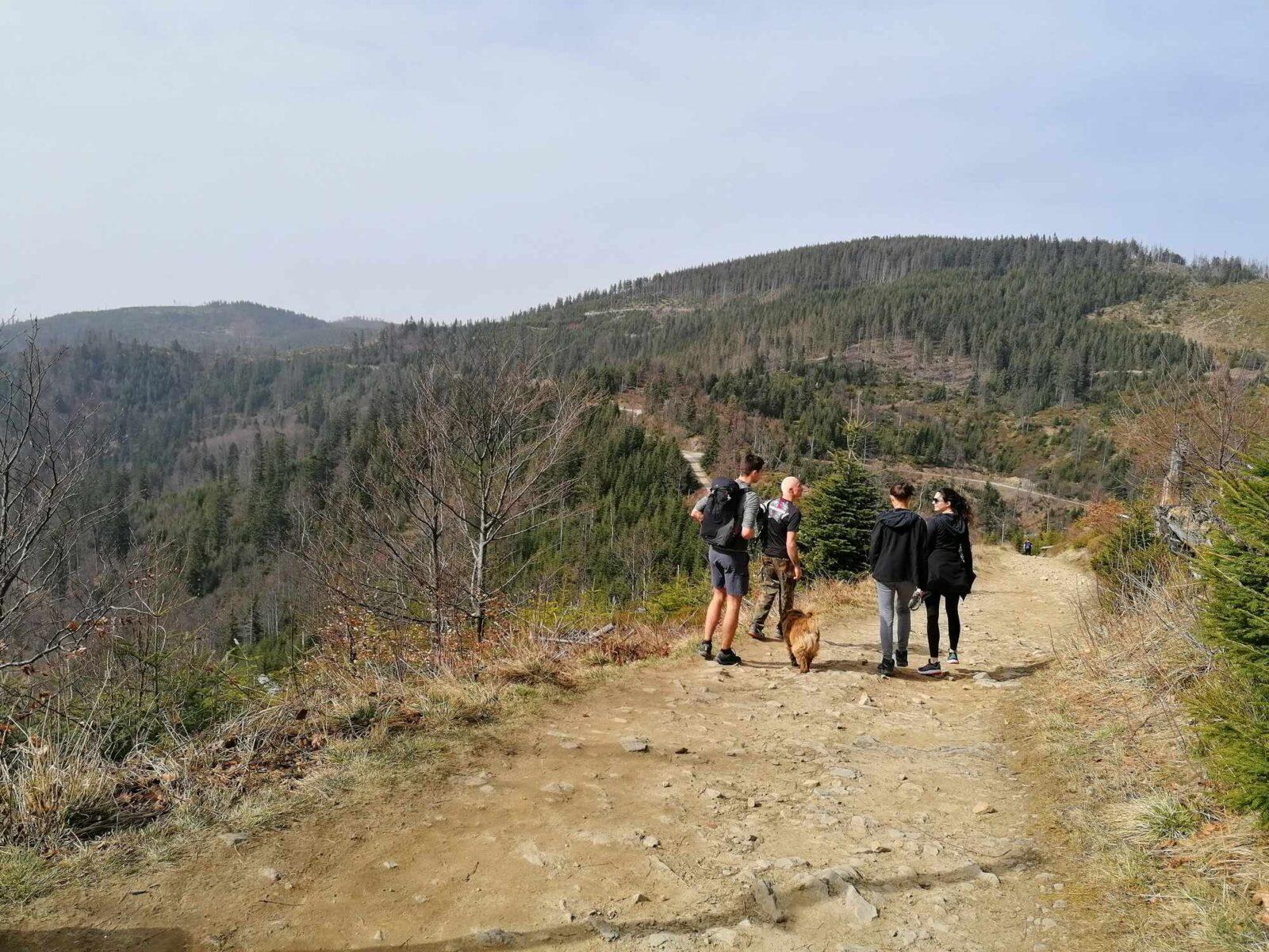 4db82cd1-c17b-4118-a6e0-ffbdb7ae8a67