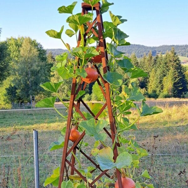 Obelisk ogrodowy do róż i powojników
