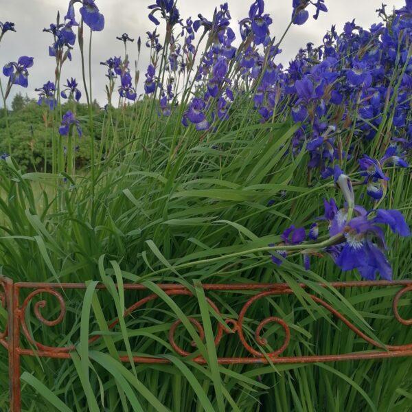 Płotek/podpora do kwiatów